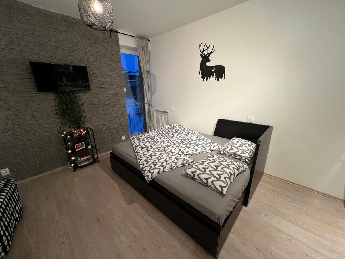 New Nelis Apartment Klinovec โลชนา โปด กลิโนฟเซม ภายนอก รูปภาพ